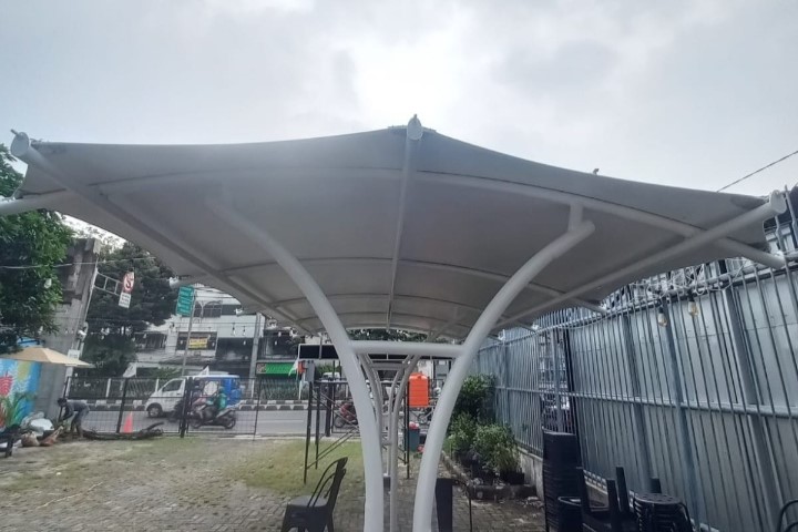 Canopy Membrane